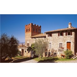 Az. Agr. Lisini - Rosso di Montalcino DOC  2020 0,750 L.