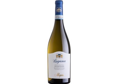 Lugana Oasi Mantellina D.O.C.  2021 - Allegrini 0,7 L.
