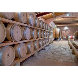 Chianti Rufina Riserva DOCG Nipozzano Vecchie Viti  2020 Castello Nipozzano -  Frescobaldi