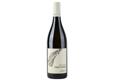 Pinot Grigio Valdadige DOC Tera Alta 2022 Roeno