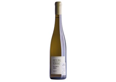 Riesling Renano Collezione di Famiglia 2015 Roeno