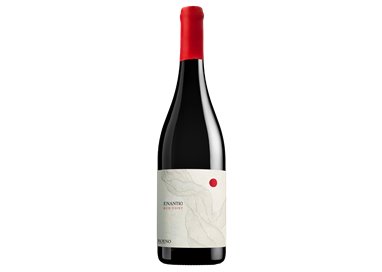 Red Point Enantio Terradeiforti DOC 2020  Roeno