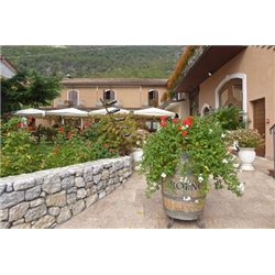 Red Point Enantio Terradeiforti DOC 2020  Roeno