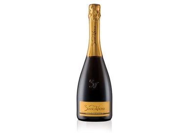 copy of Conegliano Valdobbiadene D.O.C.G. Extradry Prosecco Superiore Millesimato  - BiancaVigna