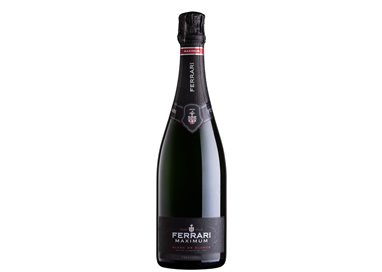 Ferrari - Trento Doc Maximum Blanc De Blancs 0.35 L