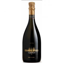 Tridentum Brut doc Cesarini