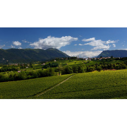 flave-rosato-spumante-brut-millesimato-bepin-de-eto