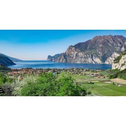 6 Bottiglie 0,500L. Olio Extravergine d’Oliva  Frantoio - Avanzi