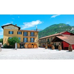 6 Bottiglie 0,500L. Olio Extravergine d’Oliva  Frantoio - Avanzi