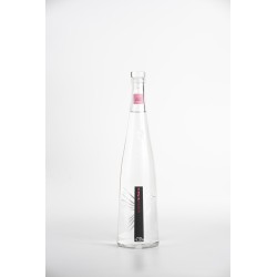 Distilleria Pilzer - Grappa Schiava