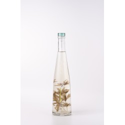 Pilzer Waldmeister Grappa
