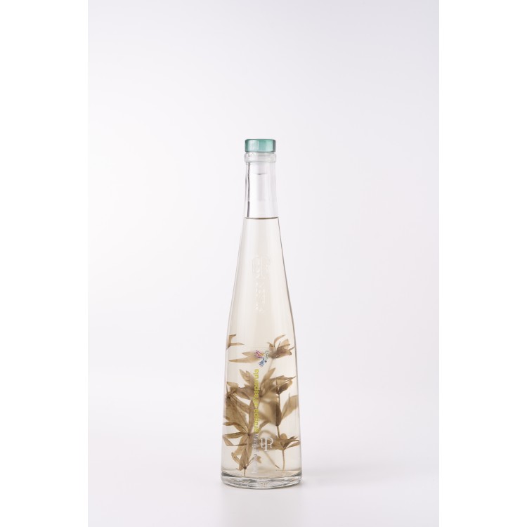 Pilzer Waldmeister Grappa Pilzer Waldmeister Grappa