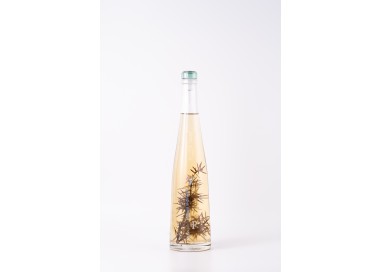 Pilzer Wacholder-Grappa