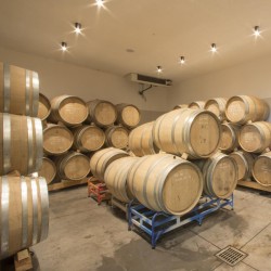 Azienda Agricola Comai - Busat Rosè 2022  IGT Rosato Vigneti delle Dolomiti - 0,75 L.