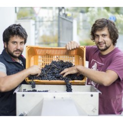 Azienda Agricola Comai - Busat Rosso 2021  IGT Rosso Vigneti delle Dolomiti - 0,75 L.