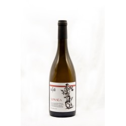 Sonata  - Souvignier Gris macerato anfora