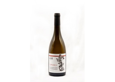 Sonata  - Souvignier Gris macerato anfora