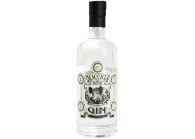 GRAPPA DI BARBERA INVECCHIATA 8 ANNI Roccanivo  Berta Distillerie