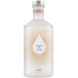 aqva-di-gin-speziata-70cl-40-on