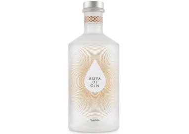 aqva-di-gin-speziata-70cl-40-on