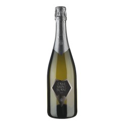 Cave Mont Blanc - Blanc de Morgex Et la Salle  Pas Dosè Glacier  2020 0,750 L.