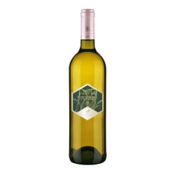 Cave Mont Blanc - Blanc de Morgex Et la Salle  2022  0,750 L.
