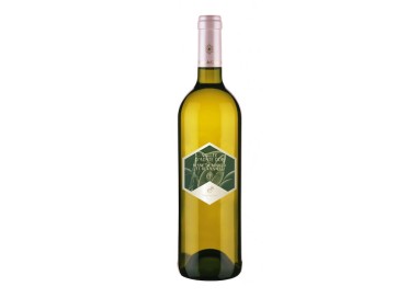Cave Mont Blanc - Blanc de Morgex Et la Salle  2022  0,750 L.