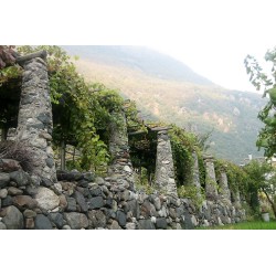 Cave De Donnas  - Donnas Superieur 2017  0,750 L.