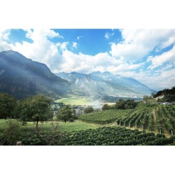 La Vrille  - Chambave Rouge 2020  0,750 L.