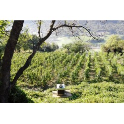 La Vrille  - Pinot Noir 2017  0,750 L.