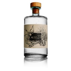 aqva-di-gin-speziata-70cl-40-on