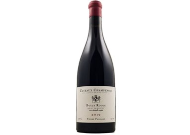 PIERRE PAILLARD Coteaux Champenois Les Mignottes 2019 cl 75