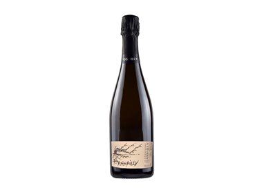 ASSAILLY Champagne P. ASSAILLY Cl 75