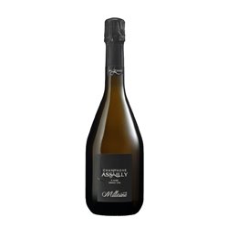 ASSAILLY Champagne Brut Grand Cru Millesime Magnum 2013 Cl 150
