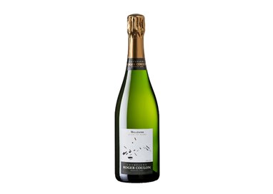 ROGER COULON Champagne Premier Cru Blanc de Noir 2013 Cl.75
