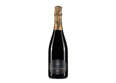 LARMANDIER BERNIER Les Chemins D'Avize Grand Cru Blanc B 2014 Cl 75