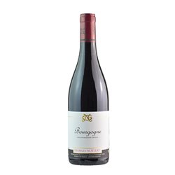 DOMAINE GEORGES NOELLAT Bourgogne Rouge 2018 Cl 75
