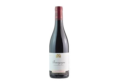 DOMAINE GEORGES NOELLAT Bourgogne Rouge 2018 Cl 75