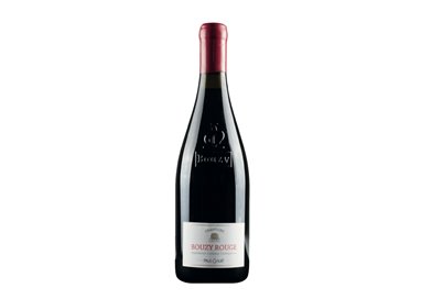 PAUL CLOUET Bouzy Rouge Coteaux 2016 Cl.75