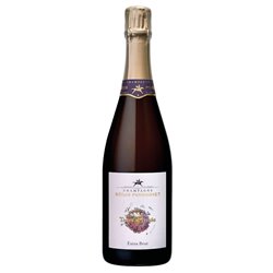 REGIS POISSINET Champagne Extra BrutTERRE D'IRRIZEE Cl 75