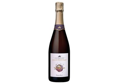 REGIS POISSINET Champagne Extra BrutTERRE D'IRRIZEE Cl 75