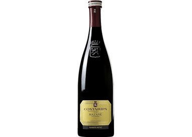 COSTARIPA Marzemino MAZANE 2020 cl.75