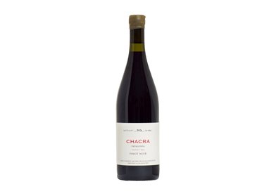 BODEGA CHACRA Pinot Nero Patagonia 32 2020 Cl 75