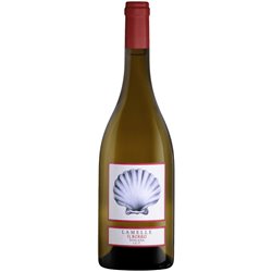 IL BORRO Toscana Chardonnay Igt LAMELLE 2022 Cl.75
