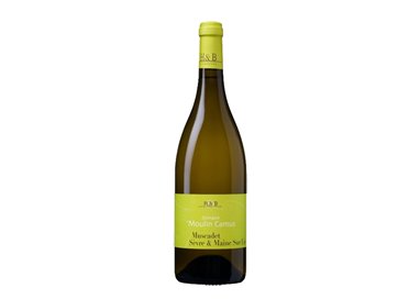 DOMAINE MOULIN CAMUS Muscadet Sevre Et Maine Sur Lie MUSE 2021 cl.75