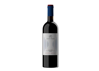 CACCIA AL PIANO Bolgheri Rosso Doc RUIT HORA 2020 cl.75