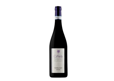CA VIOLA Barbera d'Alba BRICHET 2021 Cl.75 15%