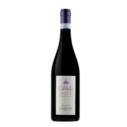 CA VIOLA Barbera d'Alba BRIC DU LUV 2021 cl.75 15.5%