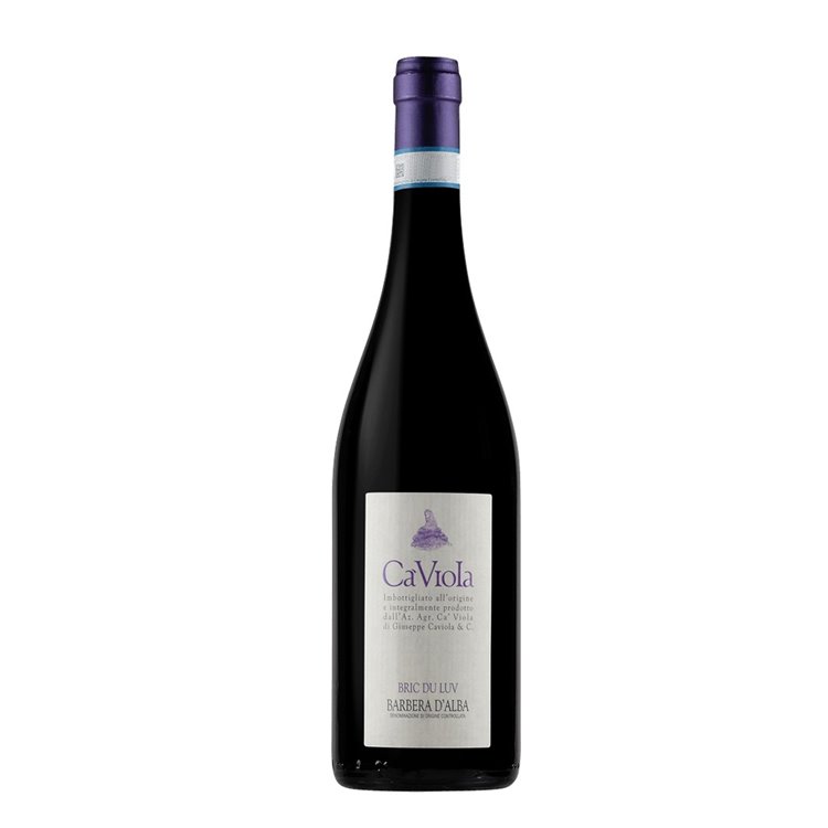 CA VIOLA Barbera d'Alba BRIC DU LUV 2021 cl.75 15.5% CA VIOLA Barbera d'Alba BRIC DU LUV 2021 cl.75 15.5%