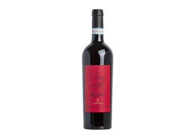 PIAN DELLE VIGNE Rosso di Montalcino 2019 cl.75
